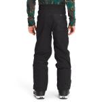 The North Face Boys' Freedom Insulated Pant - Past Season