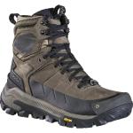 Oboz Men's Bangtail Mid Insulated B-DRY